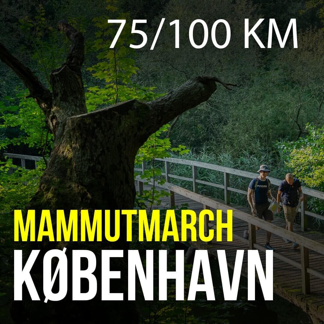 Mammutmarsch København - 75/100 KM