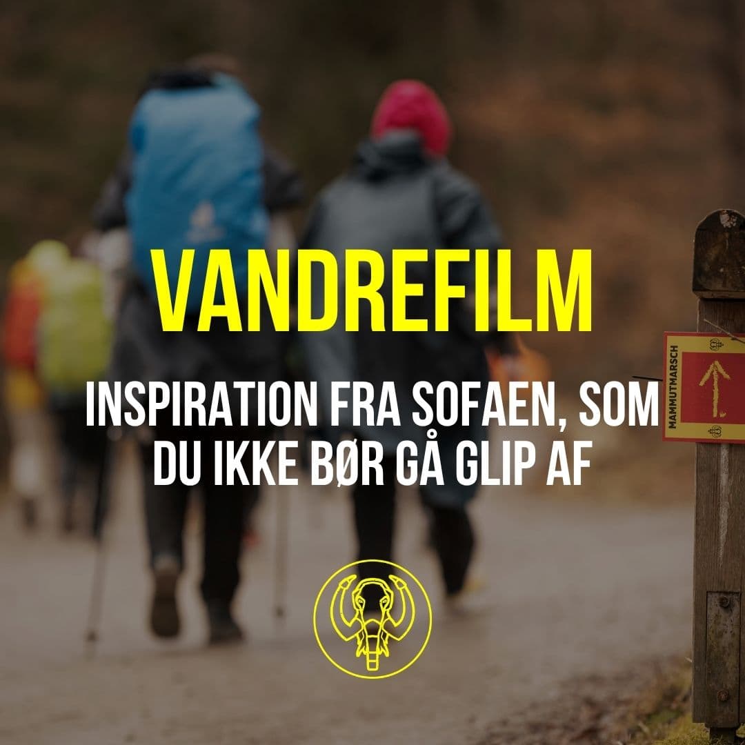 Inspiration til sofakartofler: 4 spændende vandrefilm, du skal se