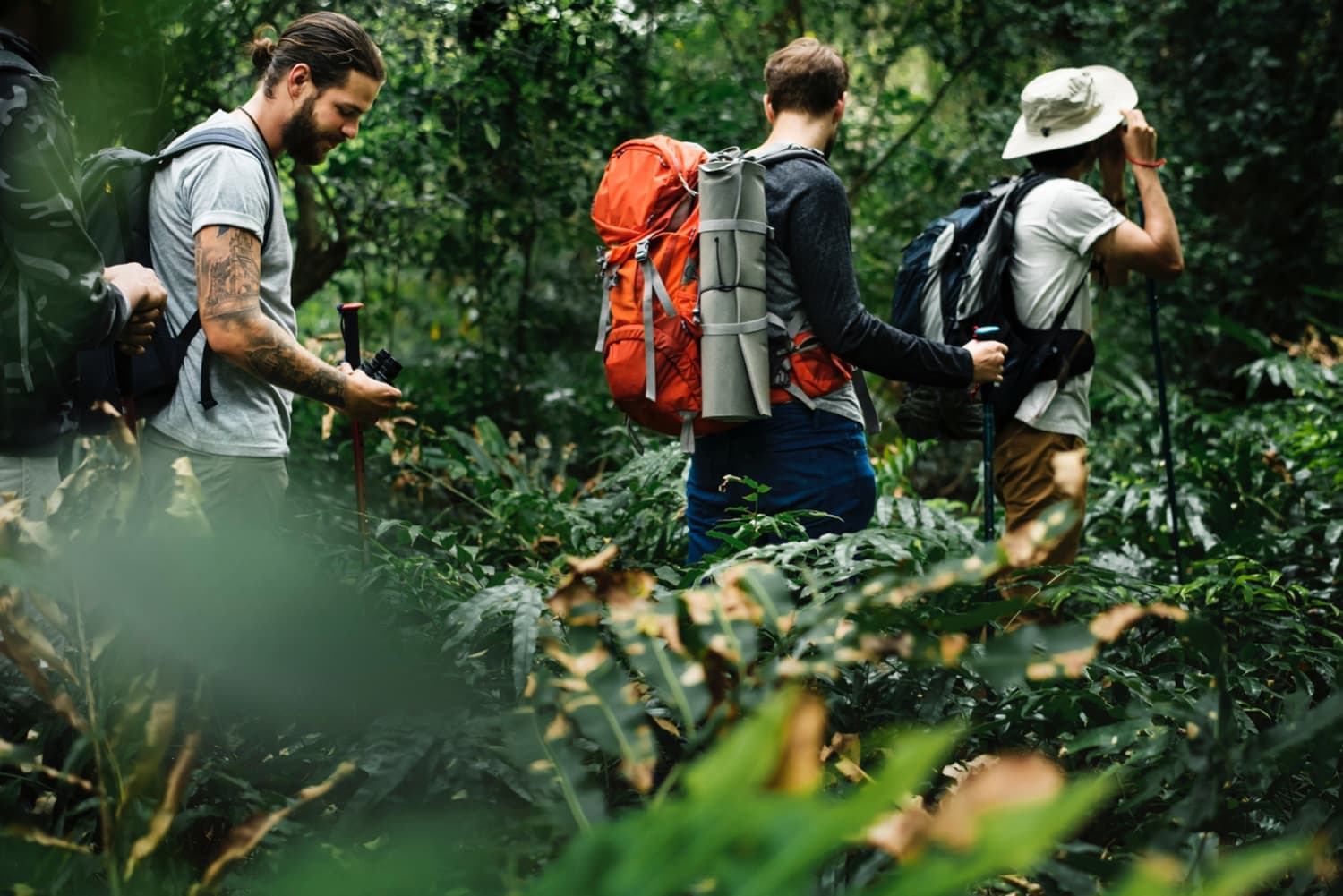 Hvad er thruhiking? Vejledning til dit gennemvandrings-eventyr